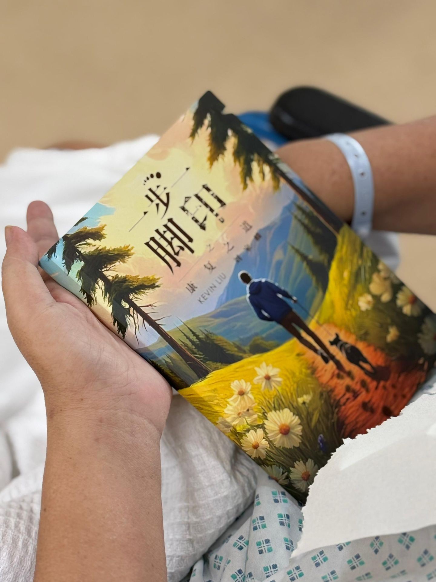 Person holding a book with an illustrated cover depicting a person and dog walking through a scenic landscape.